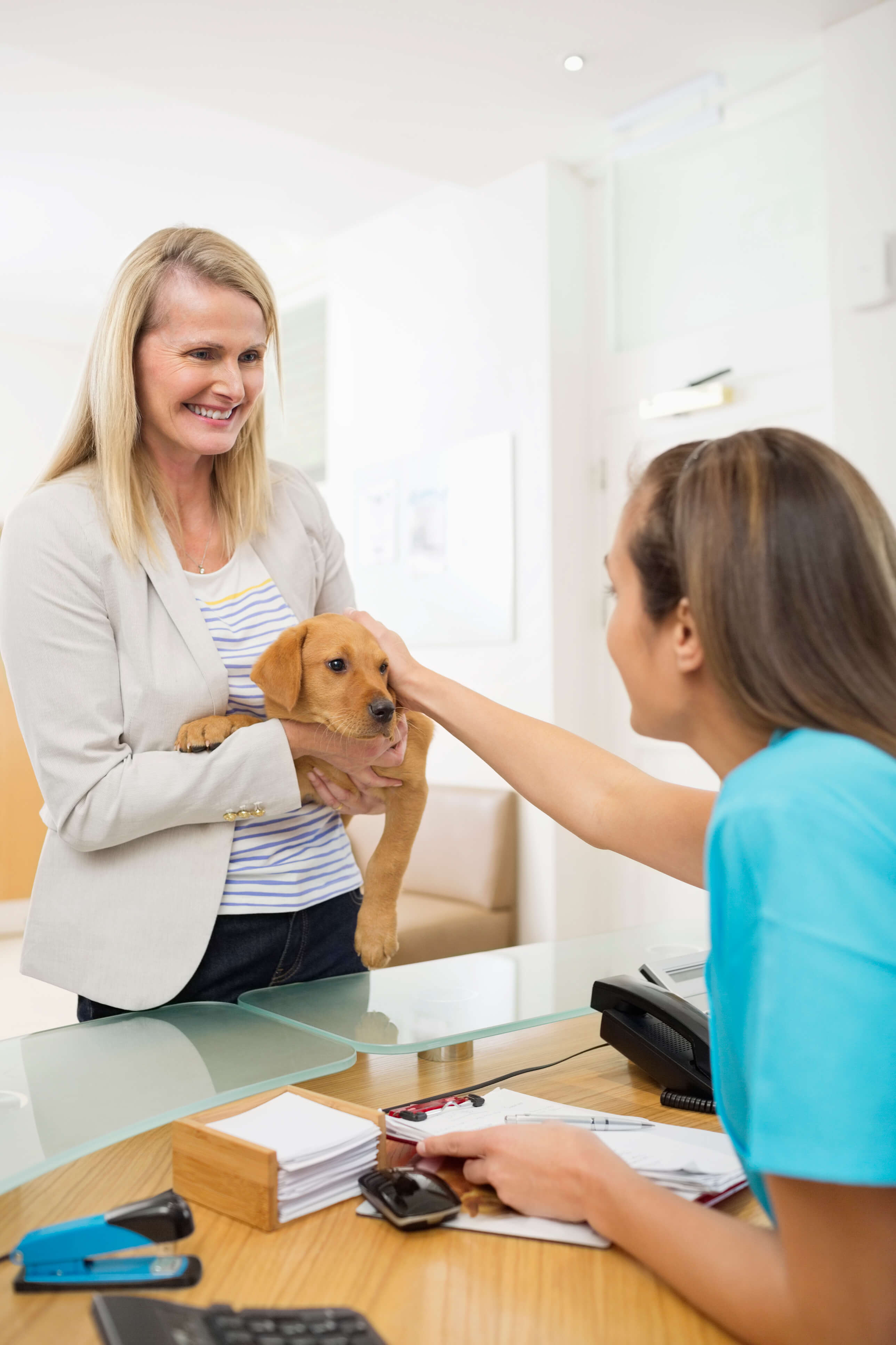 Pet licensing with McKamey Animal Center | About DocuPet